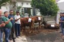 QURBAN : Ketua KAMABA Zulmauli Bahri, SE., MM (berkacamata) sesaat sebelum penyembelihan 3 ekor sapi qurban di Wisma Mahasiswa Aceh Jalan Blimbing Cihapit Bandung, Sabtu 7 Juni 2025. PJ/Dok