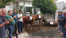 QURBAN : Ketua KAMABA Zulmauli Bahri, SE., MM (berkacamata) sesaat sebelum penyembelihan 3 ekor sapi qurban di Wisma Mahasiswa Aceh Jalan Blimbing Cihapit Bandung, Sabtu 7 Juni 2025. PJ/Dok