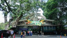 Wali Kota Bandung pastikan Kebun Binatang tetap menjadi RTH. PJ/Dok