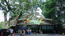Wali Kota Bandung pastikan Kebun Binatang tetap menjadi RTH. PJ/Dok