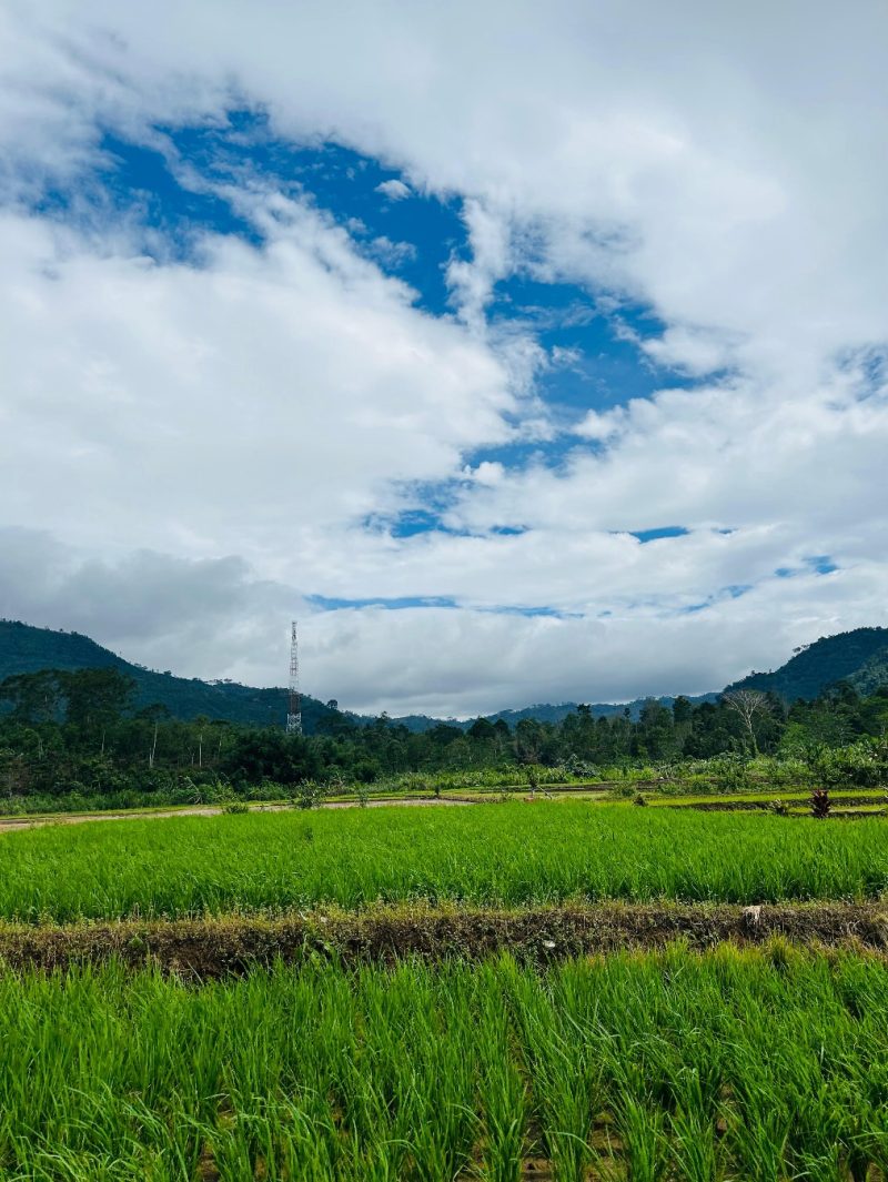 Jl Lintas sirnagalih Kec.Ulu Belu Kab.Tanggamus Lampusng 1 Januari 2026 (Foto: Isma Nur Hakim)