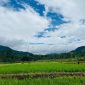Jl Lintas sirnagalih Kec.Ulu Belu Kab.Tanggamus Lampusng 1 Januari 2026 (Foto: Isma Nur Hakim)