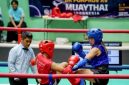 Panitia BK Porprov Muaythai mengatakan Belum Terima Honor. PJ/Dok
