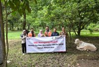 PT SBI menyalurkan 27 hewan kurban terdiri dari 13 ekor sapi dan 14 ekor kambing. PJ/Dok