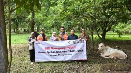 PT SBI menyalurkan 27 hewan kurban terdiri dari 13 ekor sapi dan 14 ekor kambing. PJ/Dok