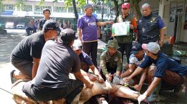 Baznas Jabar tahun ini menyembelih 38 ekor hewan qurban yang dibagikan ke berbagai pelosok Jawa Barat. PJ/Dok