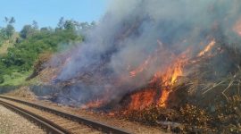 Kejadian bakar sampah di sekitar rel ka beberapa waktu lalu yang dapat membahayakan keselamatan penumpang KA. PT Kai daop 2 Bandung ingatkan masyarakat tidak membakar sampah di sekitar rel. PJ/Dok
