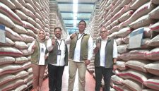 Perum BULOG menorehkan sejarah baru. Hingga 8 Oktober 2026, realisasi pengadaan Public Service Obligation (PSO) telah mencapai 4.115.014 ton setara beras atau 102,88 persen dari target penugasan Pemerintah sebesar 4 juta ton. PJ/Dok