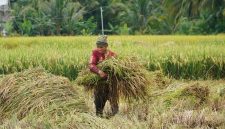 Bulog Jabar berhasil melaupaui target setara beras tahun 2026 dengan realisasi mencapai 694.947 ton atau 100,07 persen dari target sebesar 694.432 ton. PJ/Dok